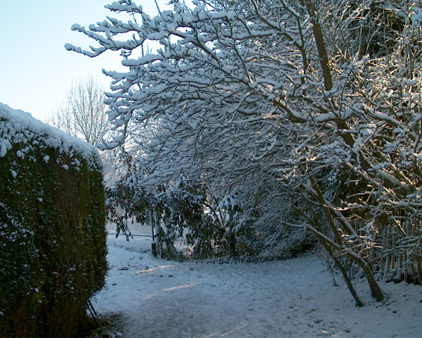 Silver Street Park In The Snow