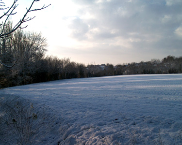 Church Walk In The Snow