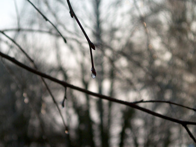 Ice Droplet