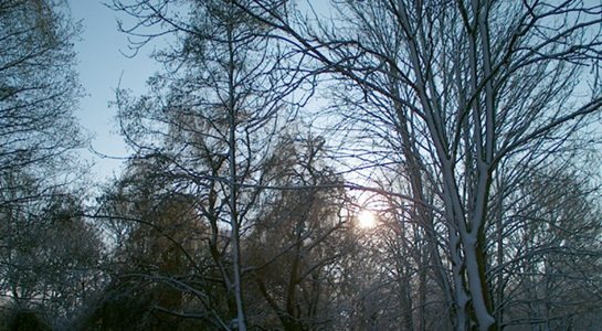 From Mill Road In The Snow