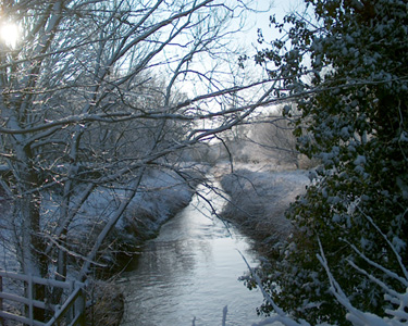 The Cut In The Snow