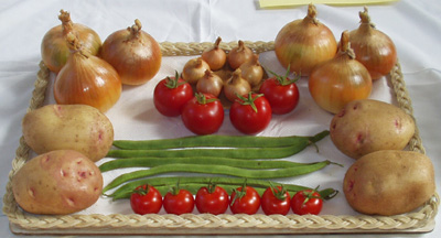 Kedington Horticultural Show