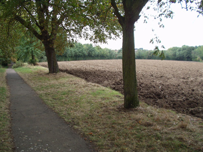 Church walk Now
