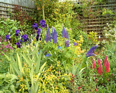 The garden of Linda and Laurence Freel