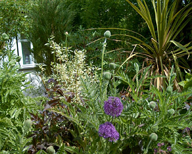 The garden of Cathy and Bob Dellar