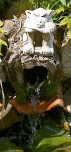 The garden of Cathy and Bob Dellar