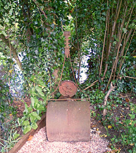 The garden of Lyn and Phil Clarke