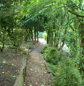 The garden of Lyn and Phil Clarke