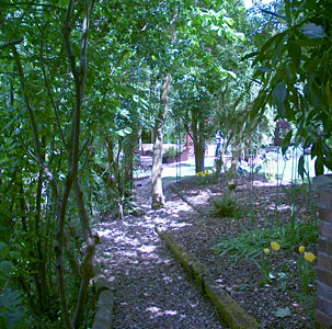 The garden of Lyn and Phil Clarke