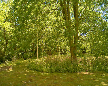 The garden of Sue and Mike Berridge