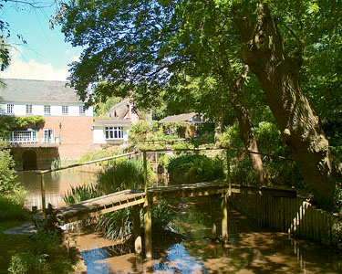 The garden of Sue and Mike Berridge
