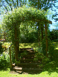 The garden of Sue and Mike Berridge