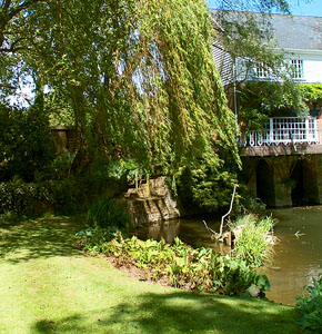 The garden of Sue and Mike Berridge