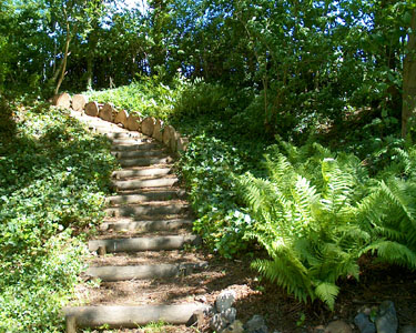 The garden of Sue and Mike Berridge