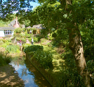 The garden of Sue and Mike Berridge