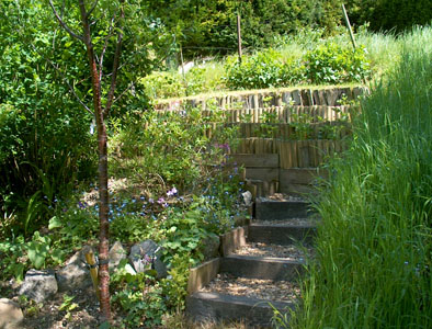 The garden of Samah and Martin Green
