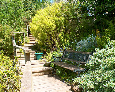 The garden of David Lee