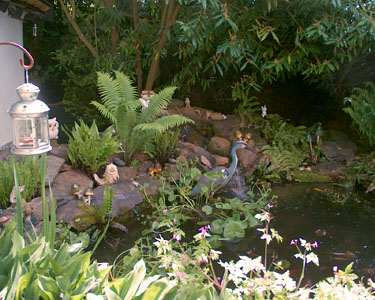 The garden of Samah and Martin Green