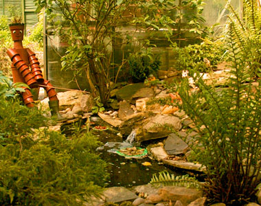 The garden of Samah and Martin Green