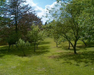 The garden of Diana and Max Dyer-Bartlett
