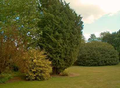 The garden of Diana and Max Dyer-Bartlett
