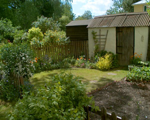 The garden of Candice Danleigh and Mike Freed