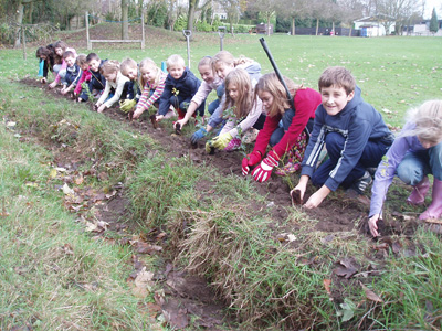 Planting