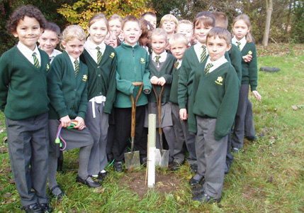 Rowen Planting