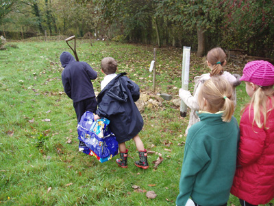 Rowen Planting