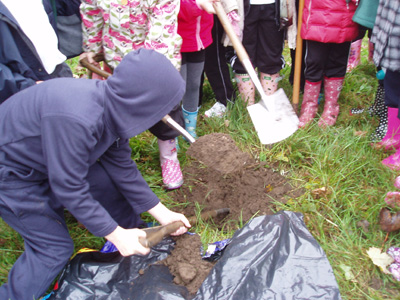 Rowen Planting