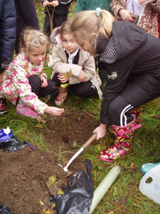 Rowen Planting