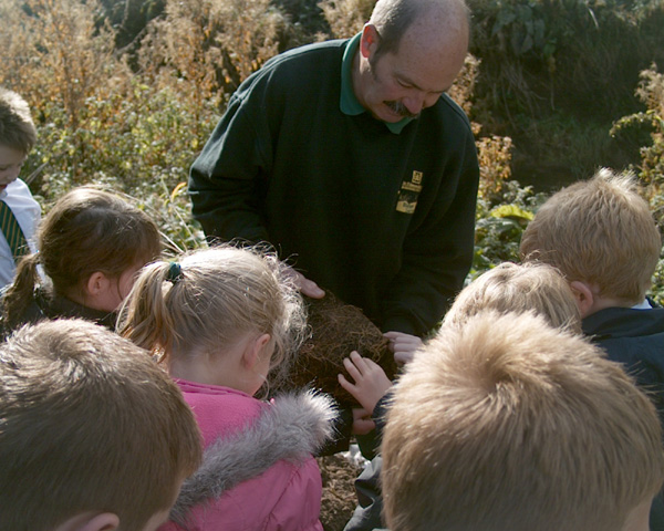 Kedington Primary School Plant a Willow Tree