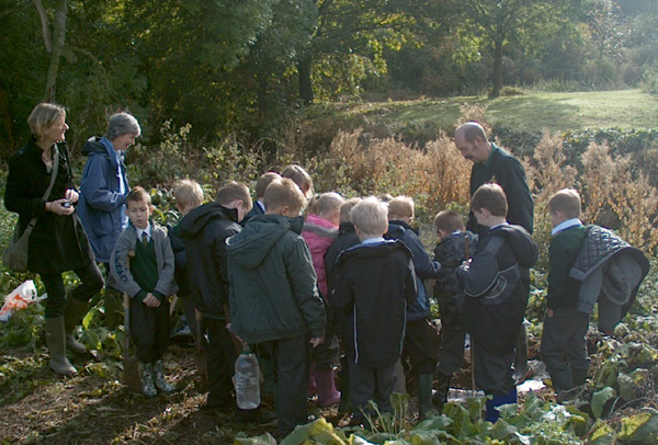 Kedington Primary School Plant a Willow Tree