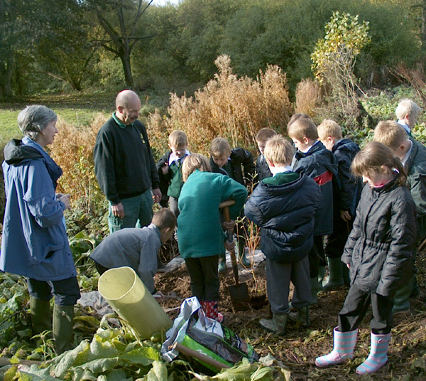Kedington Primary School Plant a Willow Tree