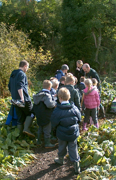 Kedington Primary School Plant a Willow Tree
