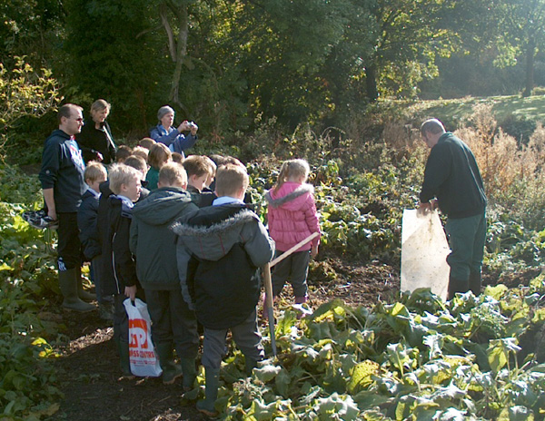 Kedington Primary School Plant a Willow Tree