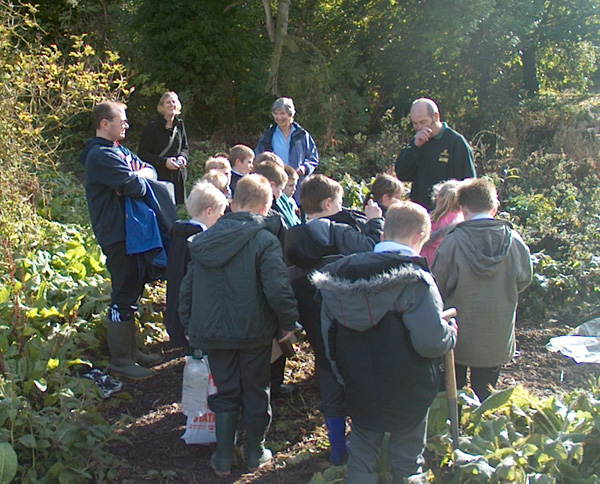 Kedington Primary School Plant a Willow Tree