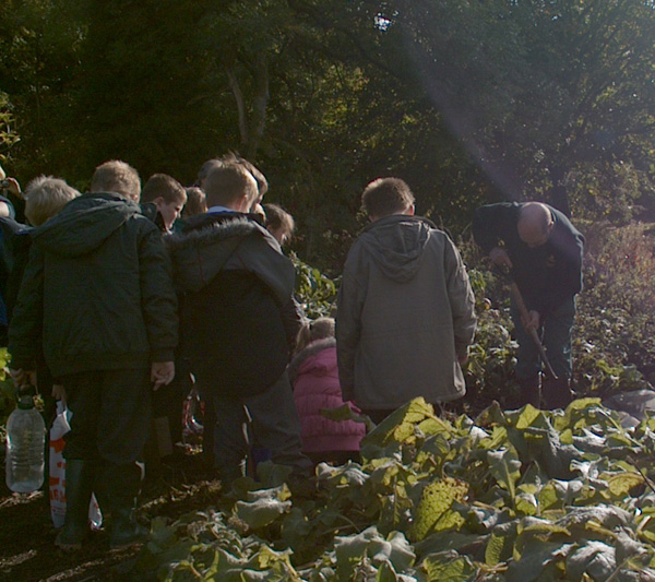 Kedington Primary School Plant a Willow Tree