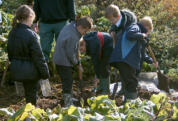 Kedington Primary School Plant a Willow Tree